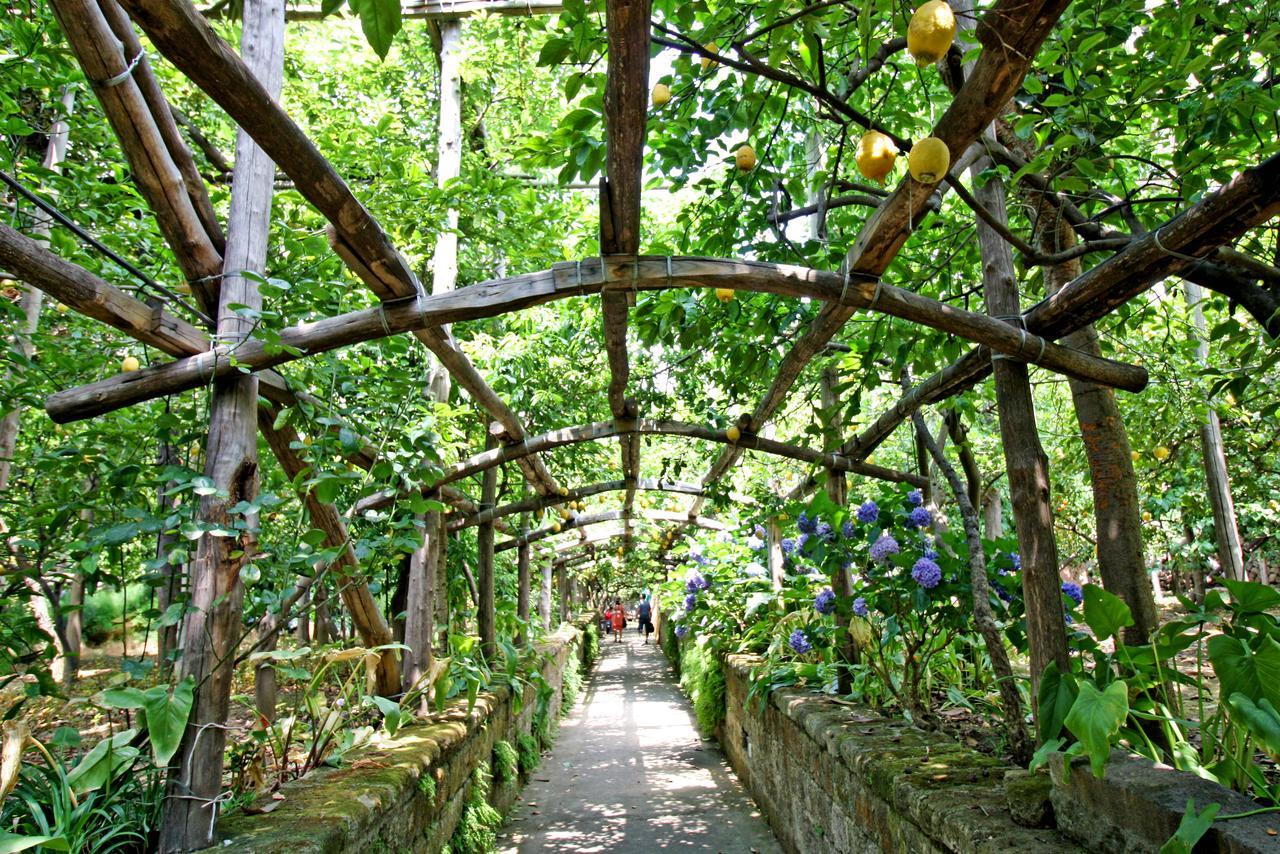 I Giardini Di Cataldo Sorrento Villa ภายนอก รูปภาพ