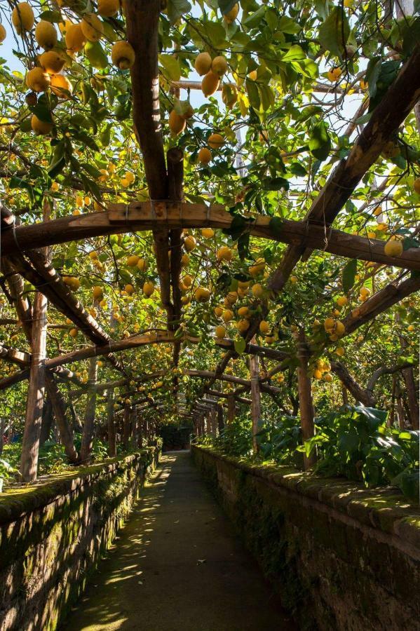 I Giardini Di Cataldo Sorrento Villa ภายนอก รูปภาพ